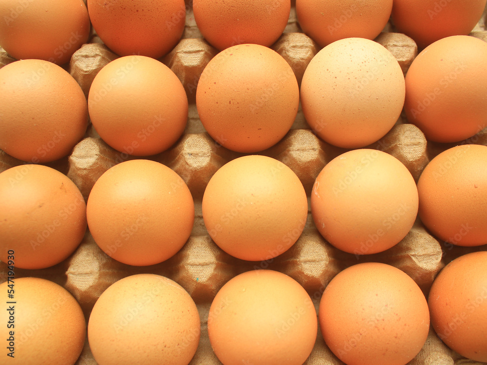Raw chicken eggs in carton tray, closeup Raw chicken eggs in carton tray, closeup