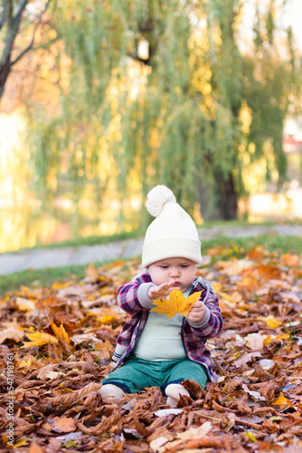 Little cute baby boy have fun outdoors in the park in autumn time