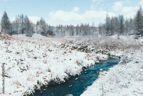 Arxan national forest park canyon in winter with snow photo