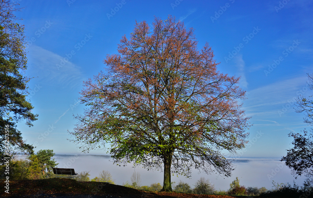 Nebel überm Neckar- und Steinlachtal bei Mössingen, Baden Württemberg; Deutschland Nebel überm Neckar- und Steinlachtal bei Mössingen, Baden Württemberg; Deutschland