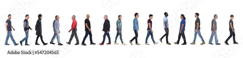 side view large group of man with jeans walking  on white background