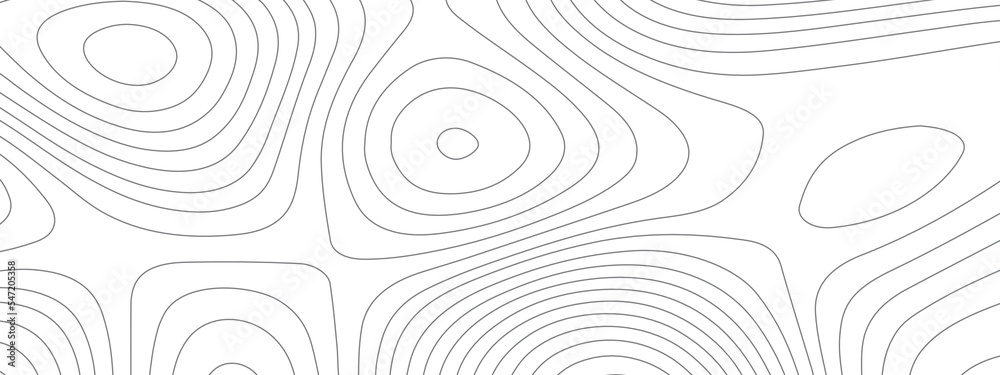 black and white wavy abstract topographic map contour, lines Pattern background. Topographic map and landscape terrain texture grid. Wavy banner and color geometric form. Vector illustration.
