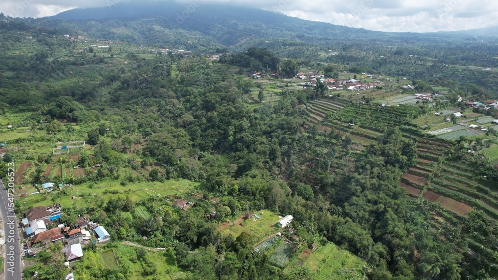 Bali, Indonesia - November 12, 2022: The Scenery of Munduk area at North Bali