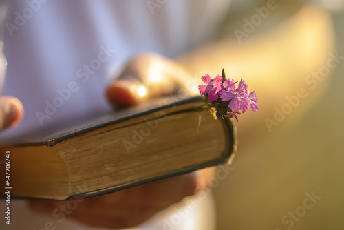A caucasian man holds an old book in which a pink flower sticks out as a bookmark in nature on a bright sunny day. Close-up with a blurred background.