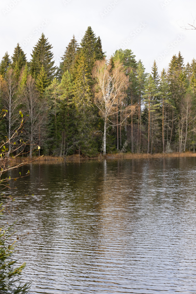 Obraz premium Late autumn lake view in Eastern Finland