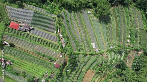 Bali, Indonesia - November 12, 2022: The Scenery of Munduk area at North Bali photo