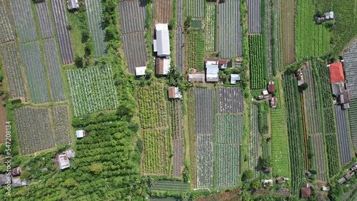 Bali, Indonesia - November 12, 2022: The Scenery of Munduk area at North Bali