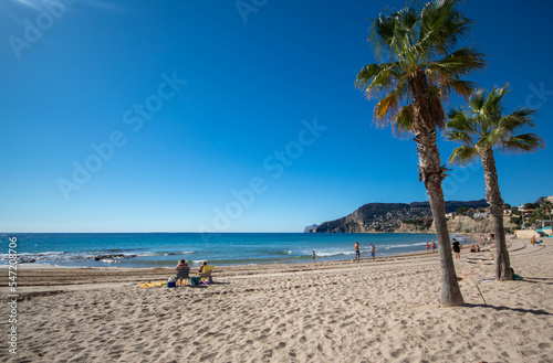 Personas relaj  ndose en la playa del pueblo de Calpe con un par de palmeras plantadas en la arena bajo un precioso cielo azul soleado de oto  o.
