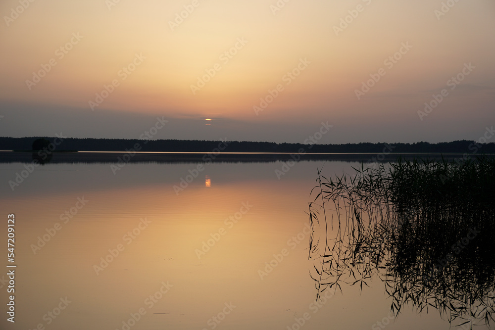 Evening on the lake in summer in July. The sun and sky are reflected on the calm surface of the water. Soft light and bright colors. Sunset and pacification	