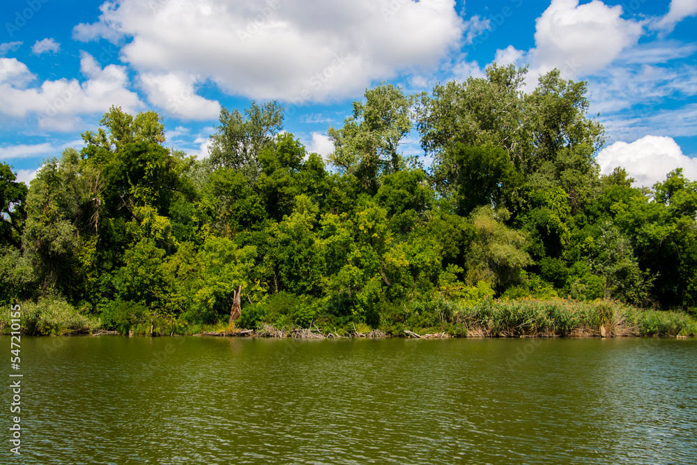 Backwater of the river Tisza in Autumn in Martely