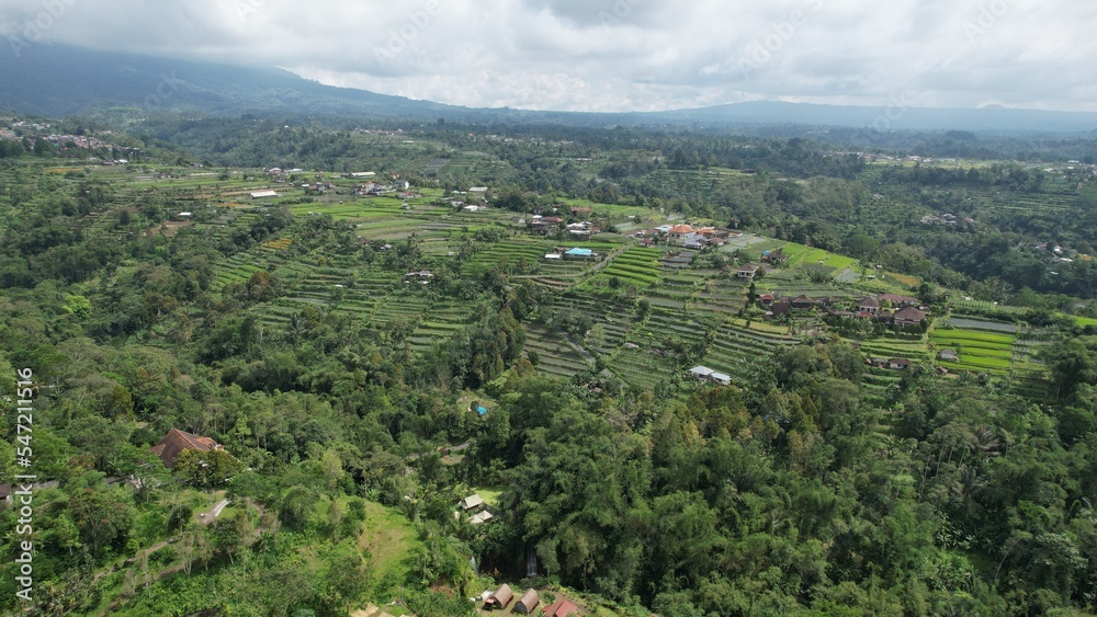 Bali, Indonesia - November 12, 2022: The Scenery of Munduk area at North Bali