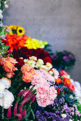 Flowers and plants in florist shop © Photocreo Bednarek