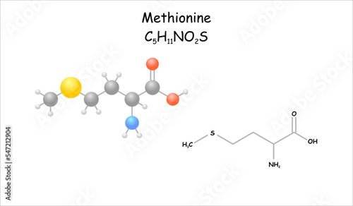Stylized molecule model/structural formula of methionine