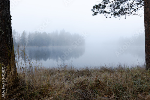 Foggy and cold late autumn morning by the lake in Finland