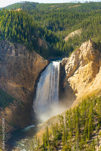View looking down or across to lower Yellowstone Falls in Yellowstone National Park, USA. The water flows and tumbles over steep rocks and nearby is pine tree vegetation. Walkway is near.