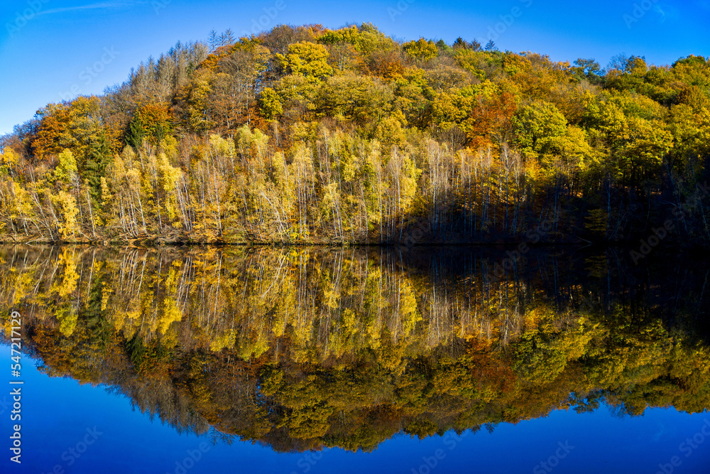 a clear symmetrical reflection of autumn forest in a lake on a sunny afternoon