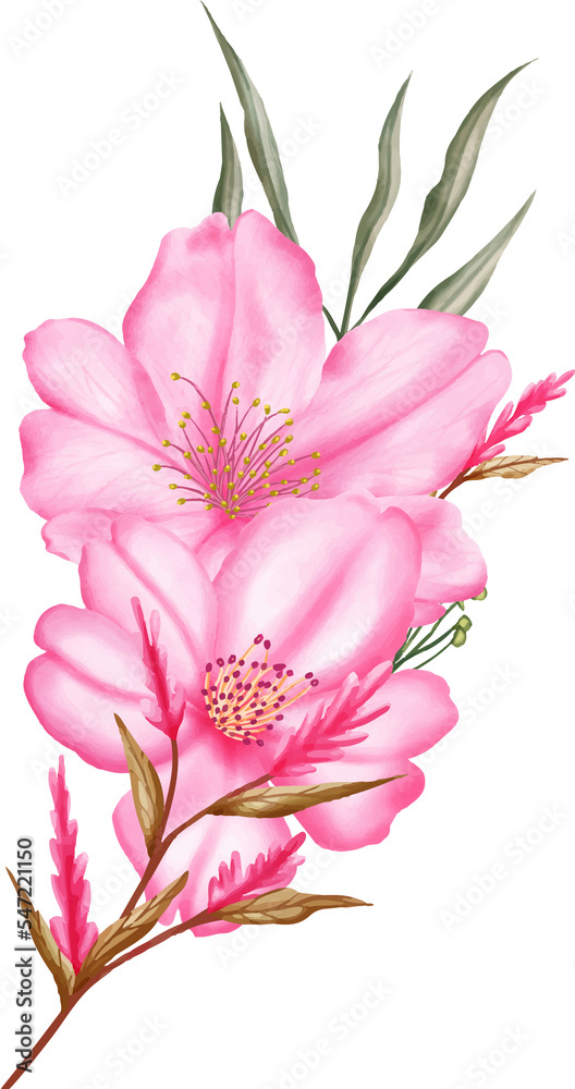 Obraz premium Watercolor sakura cherry blossom flower bouquet wreath decoration