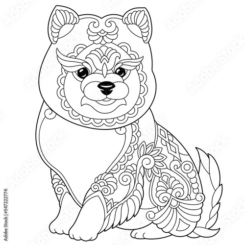 Cute pomeranian spitz dog. Adult coloring book page in mandala style.
