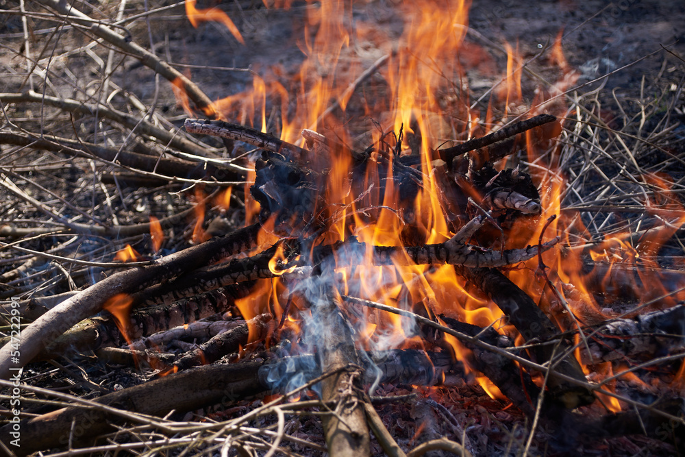 A small wood fire in the field