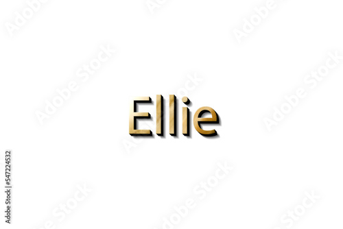 Εκτύπωση καμβά ELLIE 3D MOCKUP