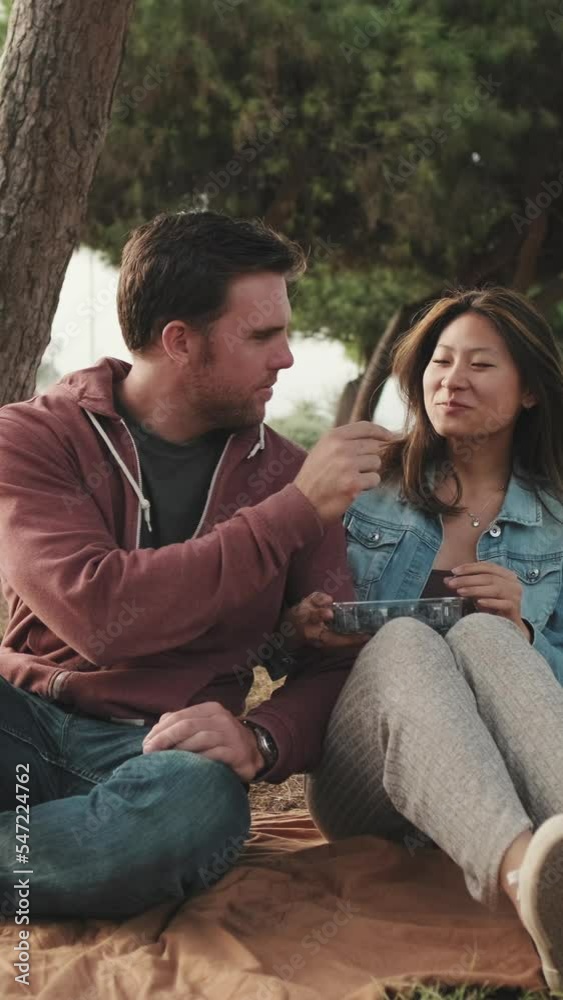 VERTICAL VIDEO: Couple having good time at picnic in the park VERTICAL VIDEO: Couple having good time at picnic in the park