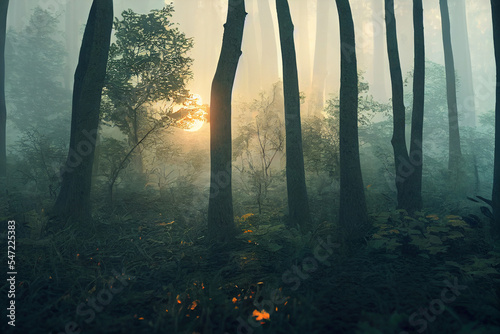 Fototapeta Naklejka Na Ścianę i Meble -  Misty Foggy morning in the forest