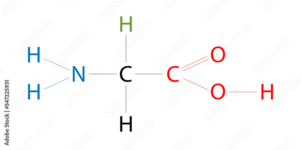 The structure of Glycine. Glycine is an amino acid that has a single ...