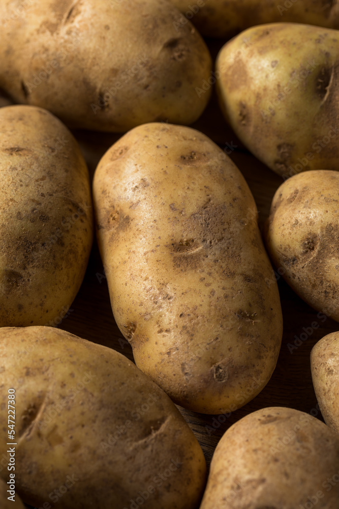 Homemade Organic Brown Russet Potatoes Homemade Organic Brown Russet Potatoes