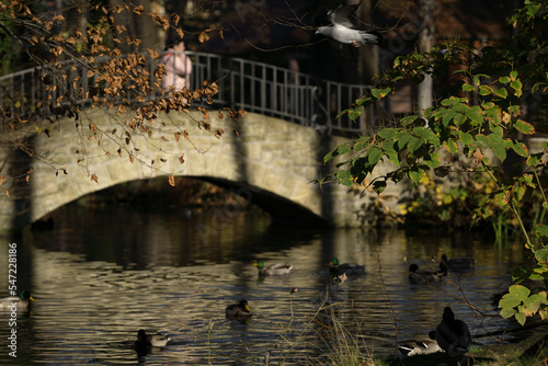 Sunny day in the park