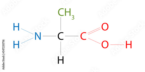 The structure of Alanine. Alanine is an amino acid that has a methyl group side chain.