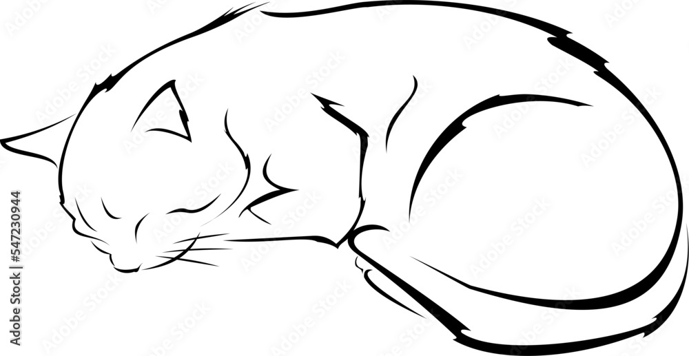 cat nap cat nap
