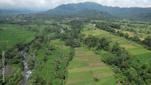 Bali, Indonesia - November 13, 2022: The Bali Terrace Rice Fields