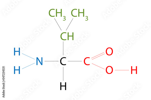 The structure of Valine. Valine is an amino acid that has a side chain isopropyl group.