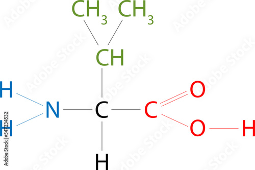 The structure of Valine. Valine is an amino acid that has a side chain isopropyl group.