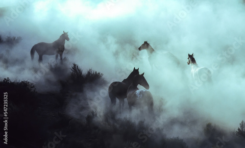 Cowboys wrangling horses on a ranch near Bend Oregon © Bob