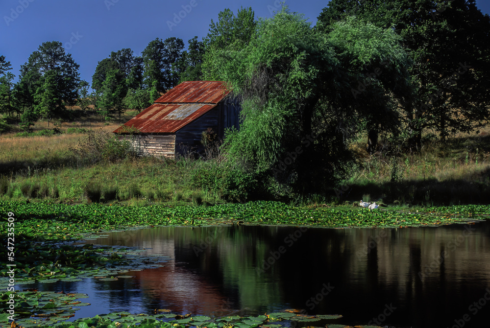 An abandoned barn reflected in a small pond near Falls City, Oregon. An abandoned barn reflected in a small pond near Falls City, Oregon.