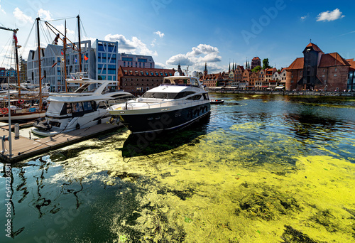 Gdansk,  Marina, przystan jachtowa MOSIR.2021.08.22 foto Wojciech Fondalinski