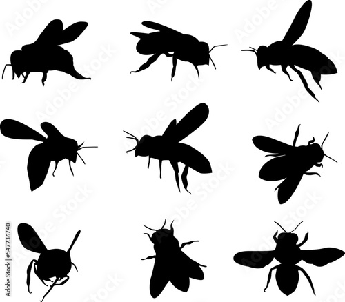 Vector bee silhouettes on isolated white background