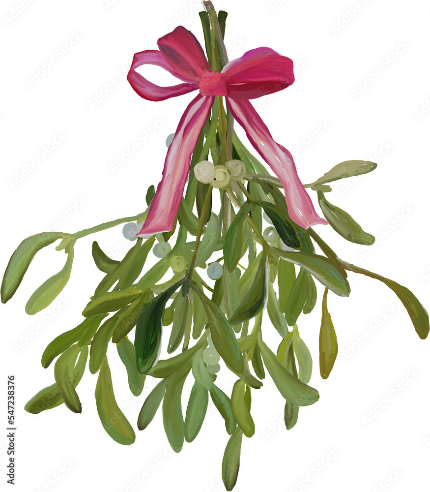 Mistletoe bouquet with red bow Mistletoe bouquet with red bow