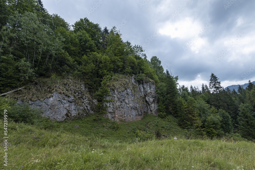 Polskie góry Pieniny wraz z płynącym w dole Dunajcem. Wszystko do okoła miasta Szczawnica.