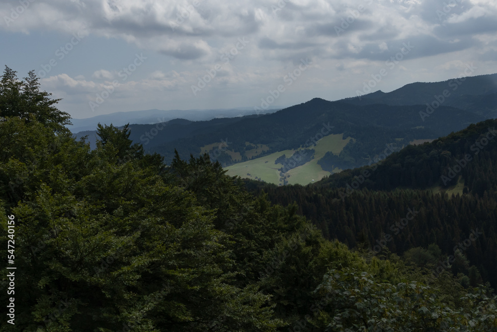 Polskie góry Pieniny wraz z płynącym w dole Dunajcem. Wszystko do okoła miasta Szczawnica.