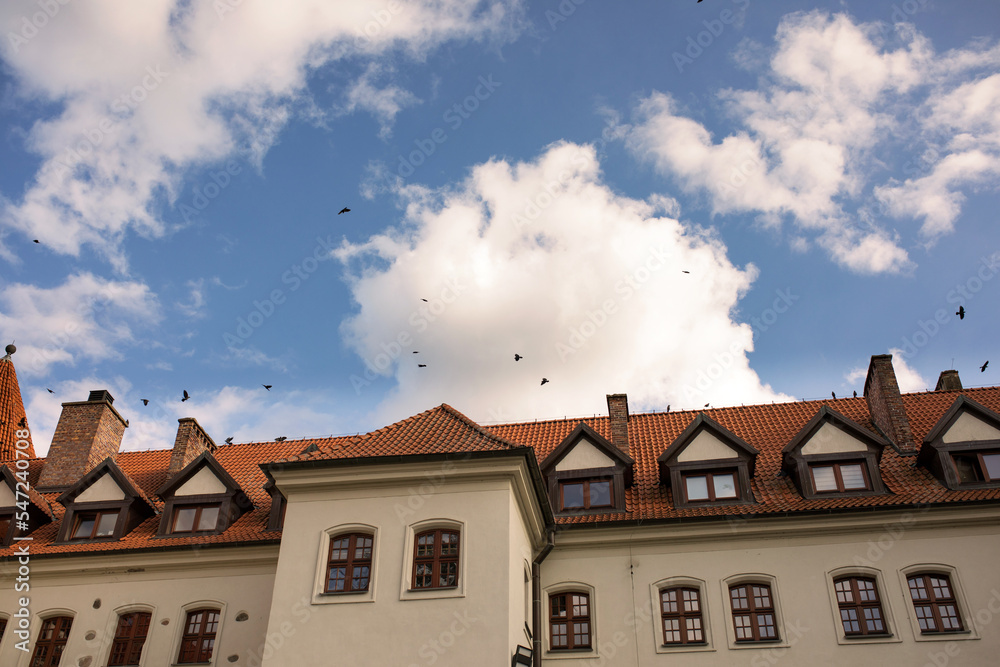 Fototapeta premium dach