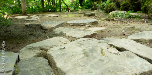 Moss-covered cobblestone in the green forest. Sochi, Lazarevskoe, Berendeevo kingdom
