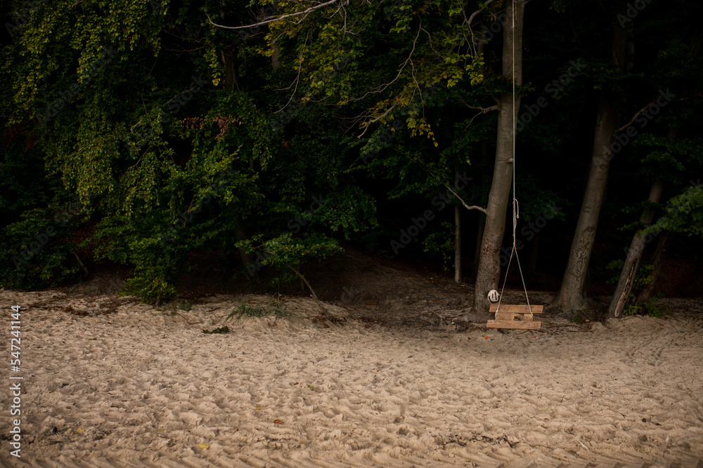 Fototapeta premium huśtawka