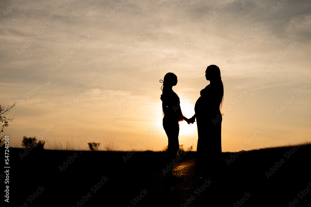 Silhouette of a pregnant lady standing with her partner in a field of long grass