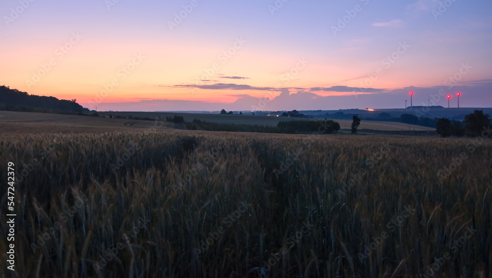 scenic sunset over the field in summer 