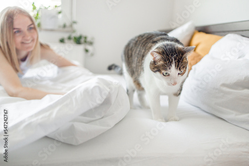 Happy young woman with beautiful gray fluffy cat in white bed at home 