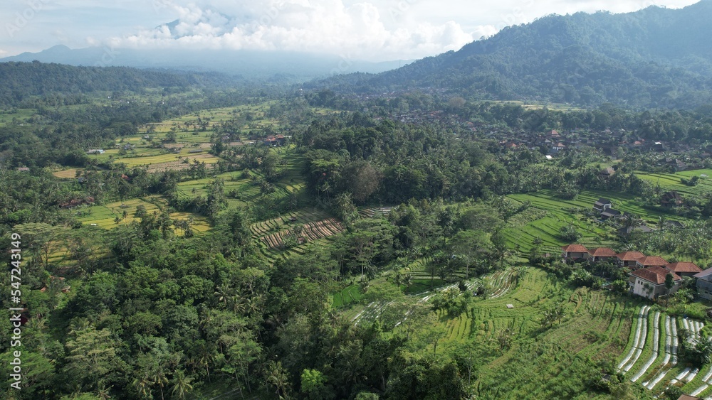 Bali, Indonesia - November 13, 2022: The Bali Terrace Rice Fields