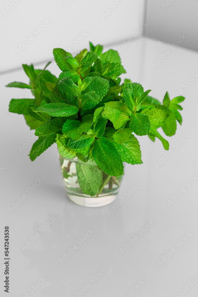 Fresh green mint in a glass. Green leaves on table at light background in interior. Isolated view. Fresh green mint in a glass. Green leaves on table at light background in interior. Isolated view.