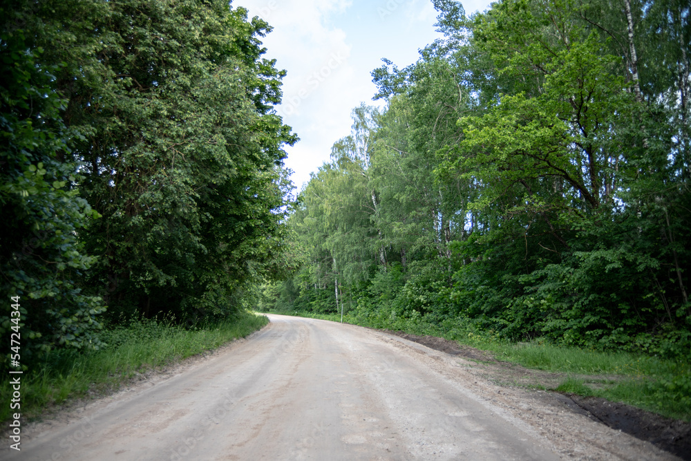 winding sand and gravel dirt road in Latvia countryside through green forest
